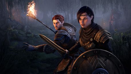 The elder scrolls online blackwood upgrade что входит в игру